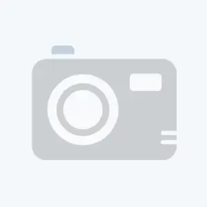 ALSTRO MARACANA 70GR